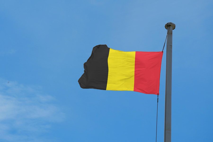 Актуальные способы оформления бельгийского паспорта и гражданства