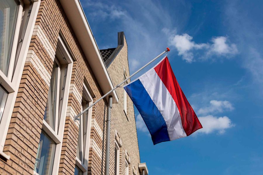 Как получить вид на жительство Нидерландов