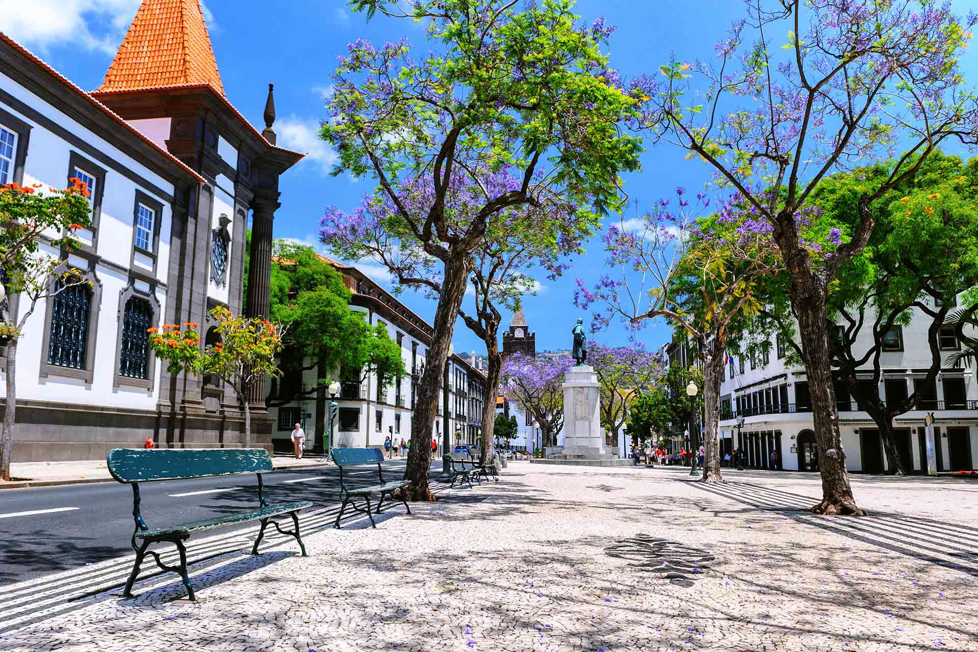 ВНЖ в Португалии