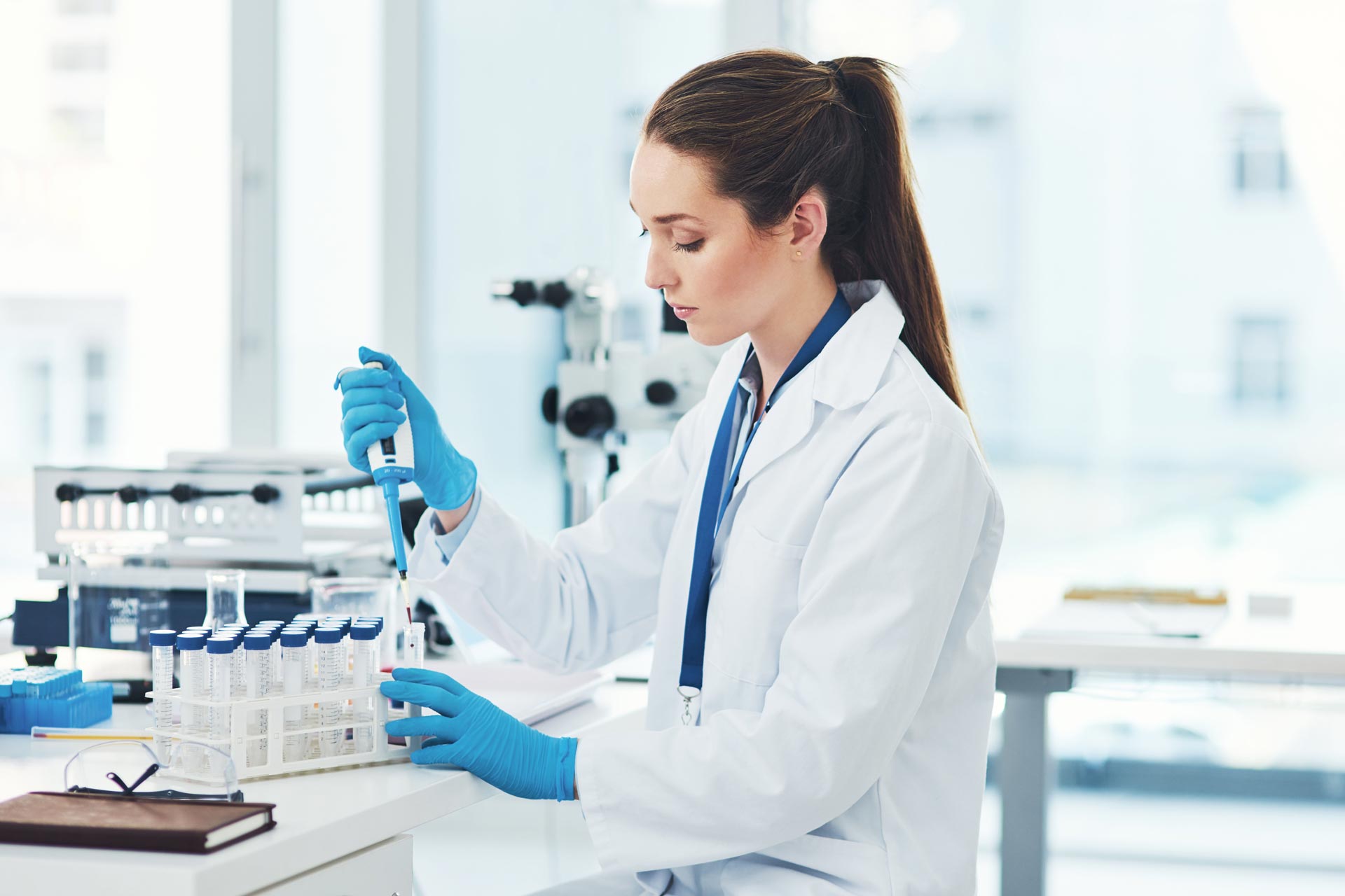 ПМЖ Нидерландов через исследовательскую деятельность